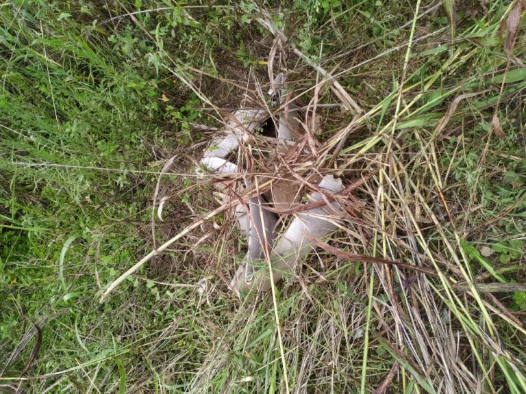 Em meio ao aumento dos casos de Dengue em Mercedes, Secretaria de Saúde encontra inúmeros focos do Aedes aegypti