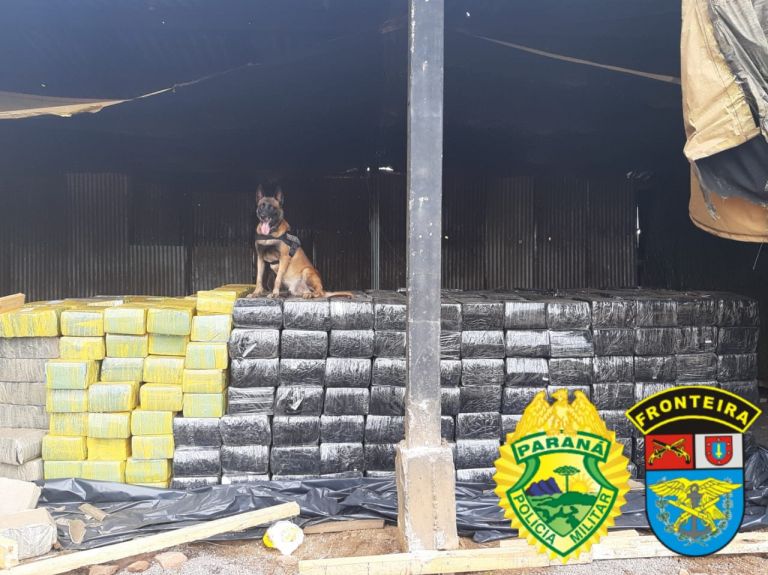 BPFron apreende 12 toneladas de maconha e prende cinco acusados em Toledo; veja imagens e vídeos