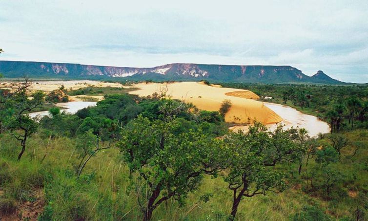 Desestatização de visitações de parques tem adesão de seis estados