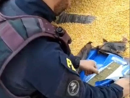 PRF intercepta cerca de 2,5 toneladas de maconha em carreta com milho na BR-163 em Marechal Rondon