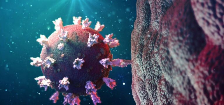 Fiocruz: estudo sugere que variante Delta pode causar mais reinfecções