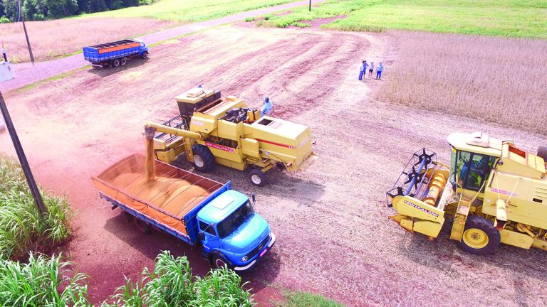 Começa a colheita da safra nas lavouras da região