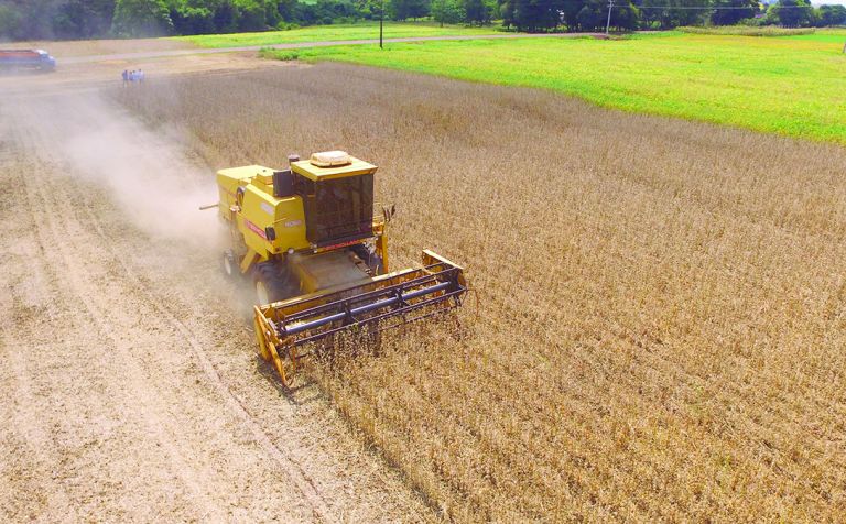 Marechal Rondon está entre os municípios paranaenses que ultrapassam R$ 1 bilhão em Valor Bruto da Produção Agropecuária