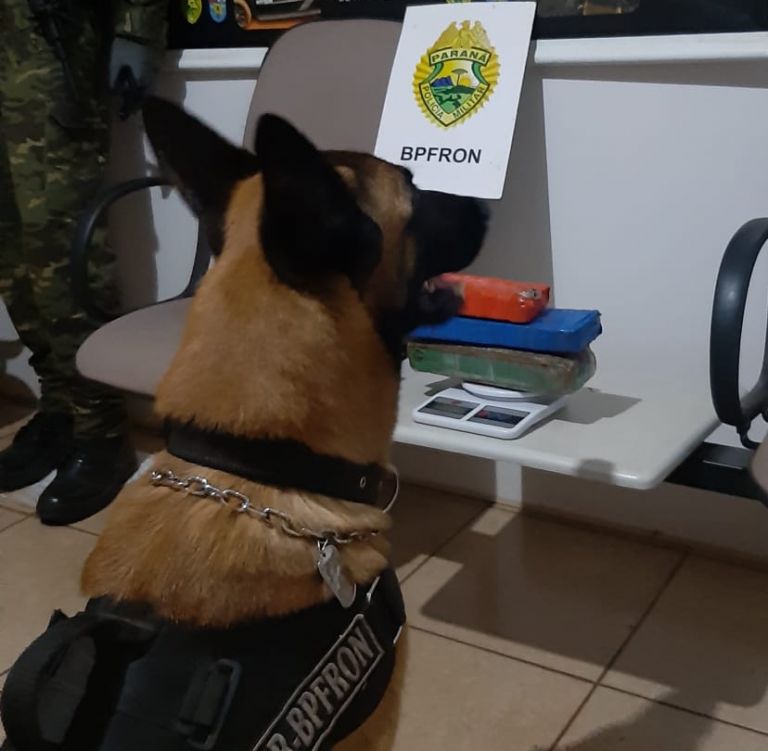 BPFron apreende tabletes de maconha durante Operação Hórus em Pato Bragado