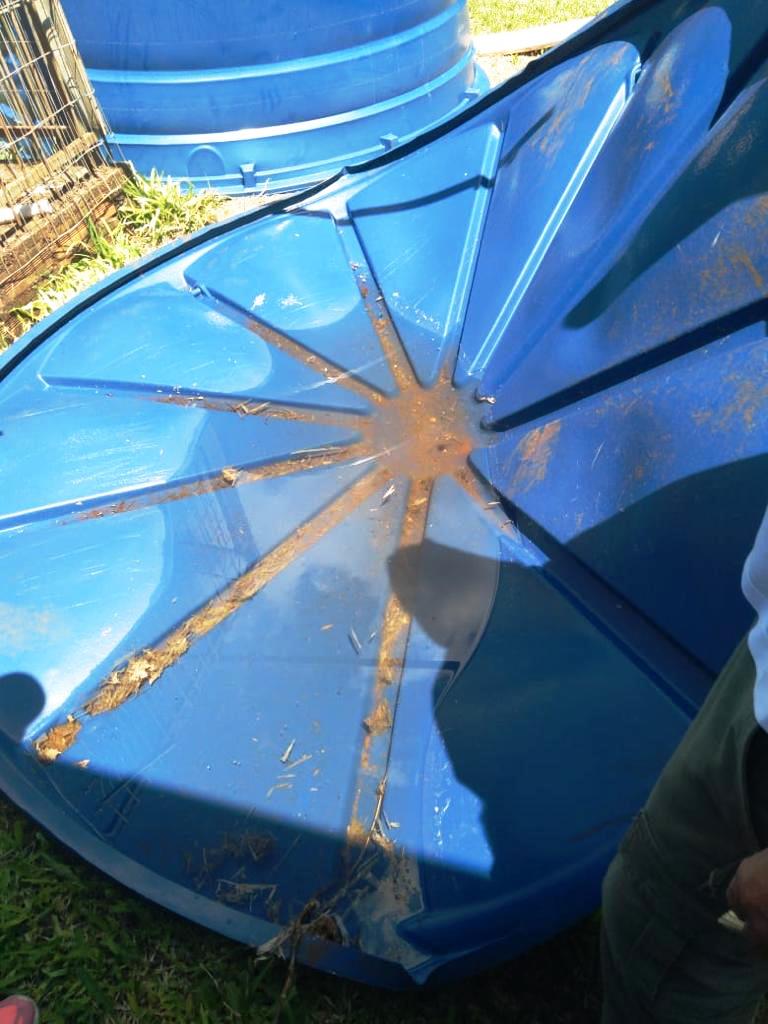 Casos de dengue estão dez vezes menores no Paraná, mas ainda preocupam