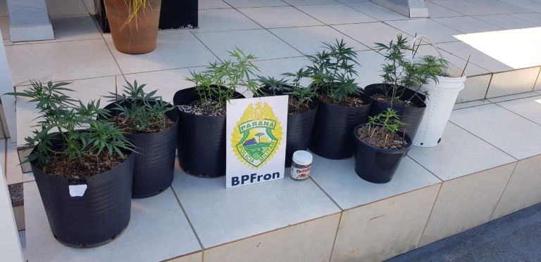 BPFron cumpre mandado de busca e apreensão na região