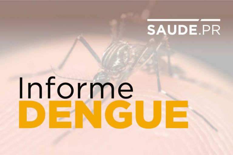 Informe semanal da dengue confirma o registro de 605 novos casos da doença no Paraná
