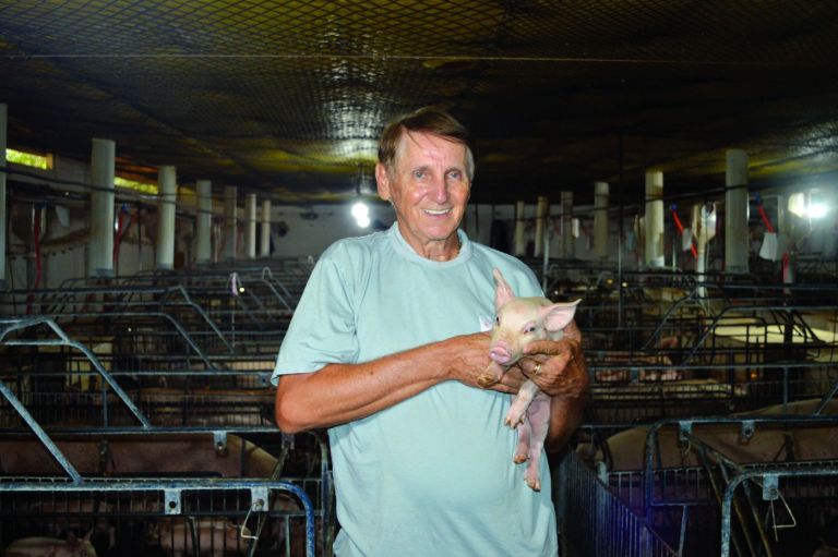 Granja Becker conquista 1º lugar no Prêmio Melhores da Suinocultura Agriness