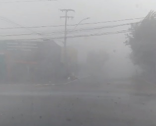 Vendaval derruba árvores e postes de energia em Palotina; veja fotos e vídeos