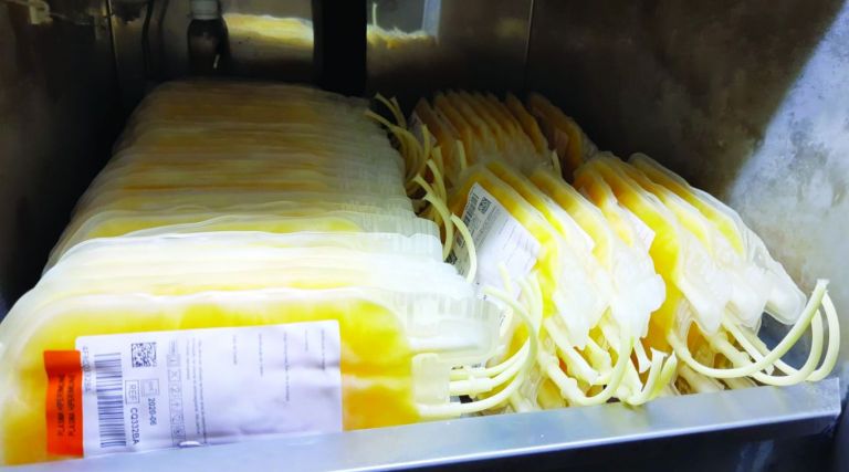 Recuperados da Covid-19 produzem plasma utilizado no tratamento da doença