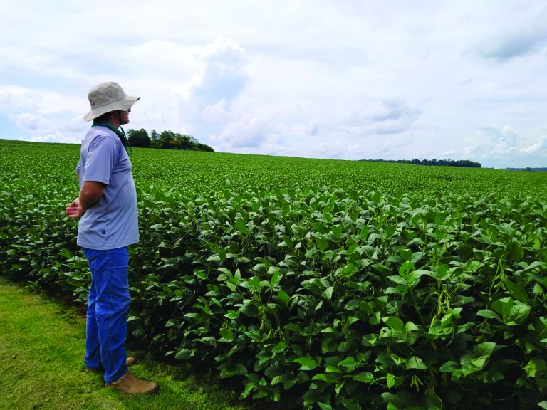 Vislumbrada antes das chuvas de janeiro, supersafra não deve se consolidar