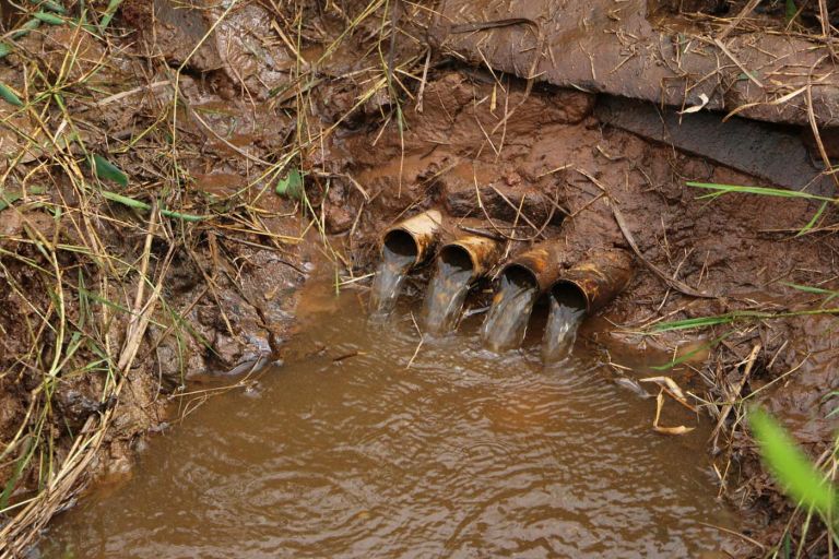 Ações Ambientais marcam o Dia Mundial da Água em Santa Helena