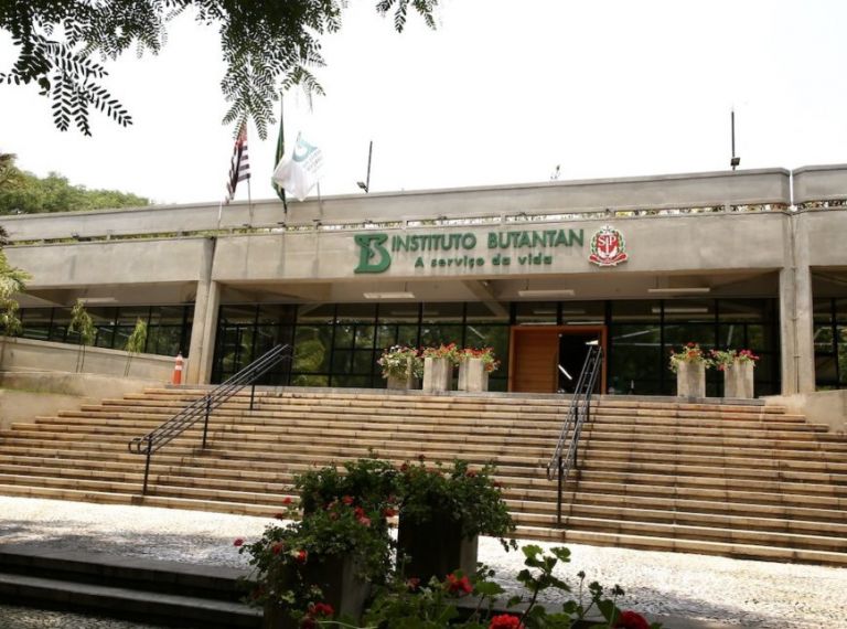 Butantan vai doar 400 mil doses de vacina da gripe para o Rio