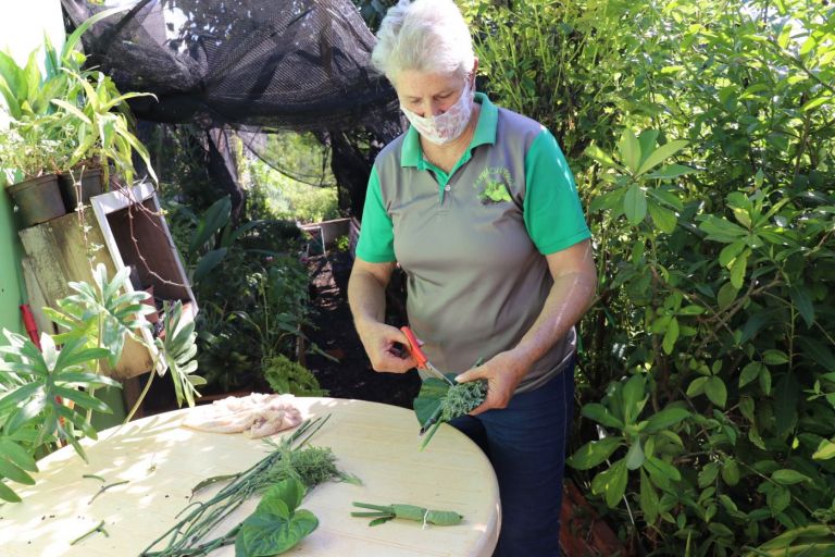 Pato Bragado oferece mais de 150 variedades de plantas medicinais pelo projeto Farmácia Verde