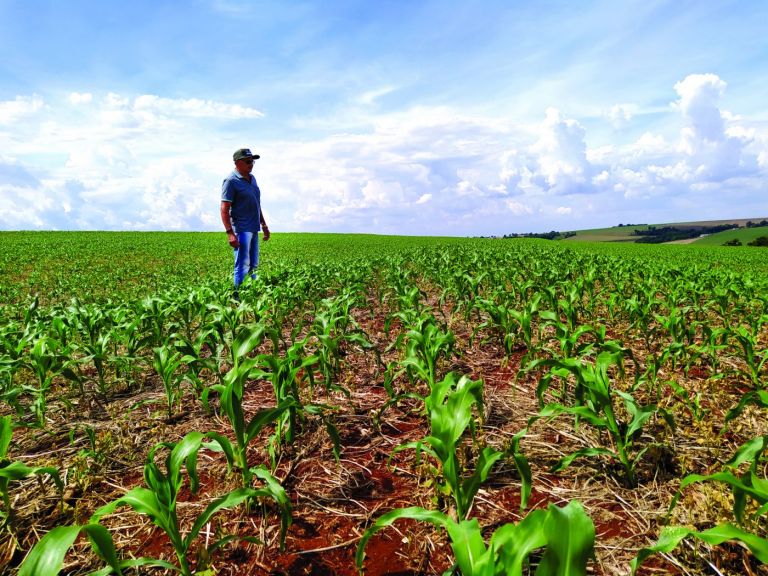 Outono seco pode comprometer produtividade da safrinha