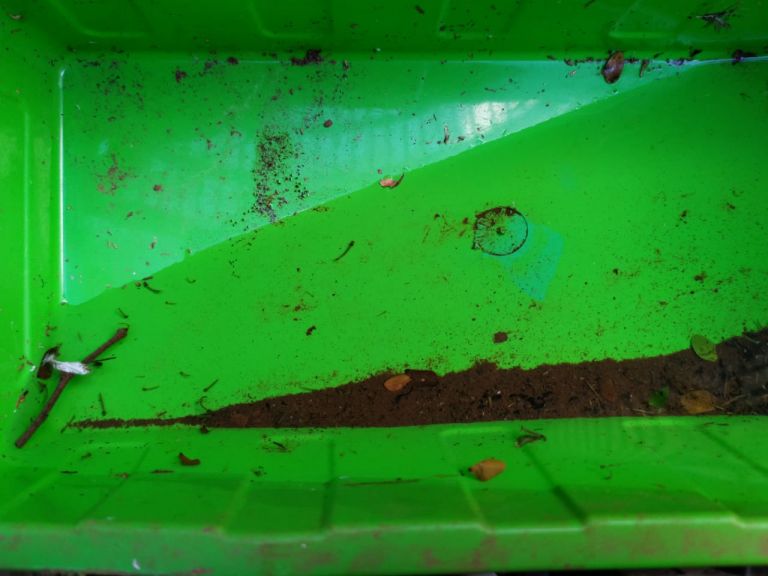 Saúde realiza 63 advertências por falta de cuidados no combate à dengue nos últimos sete meses