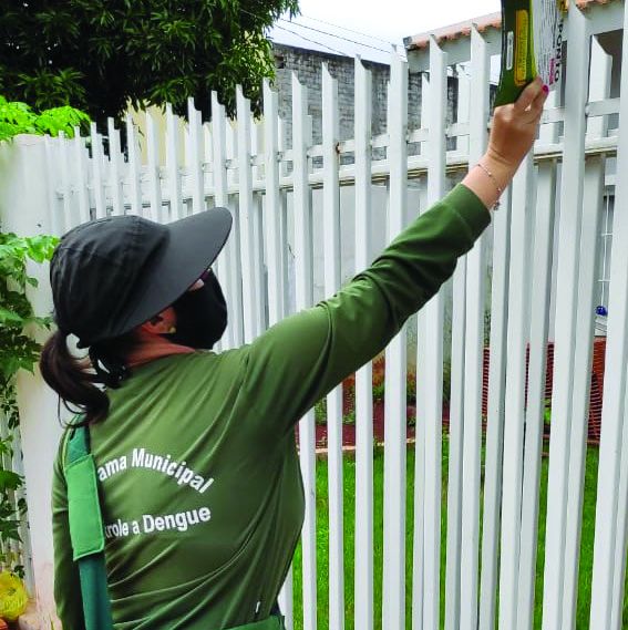 Recolha de galhos e entulhos no setor 1 segue até dia 31