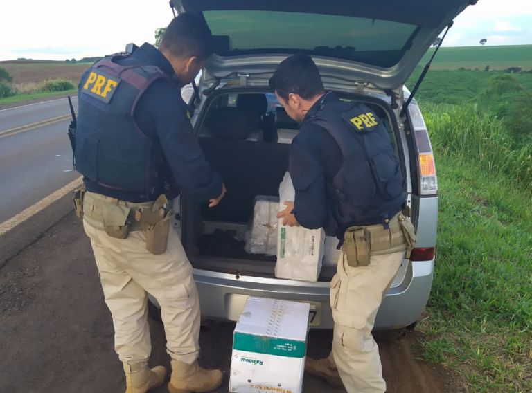 PRF apreende cerca de 300 quilos de agrotóxicos na região