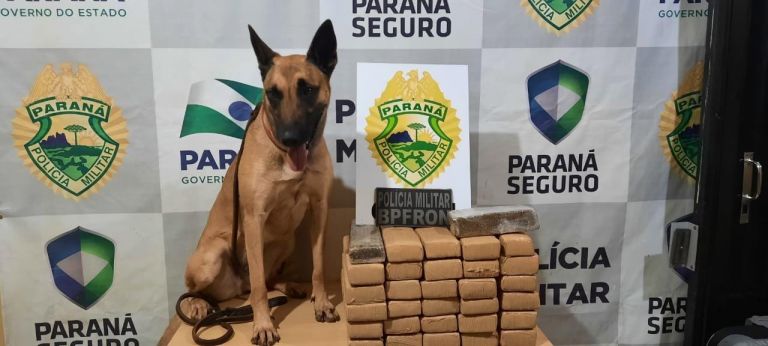 BPFron apreende drogas em ônibus durante Operação Hórus em Cascavel