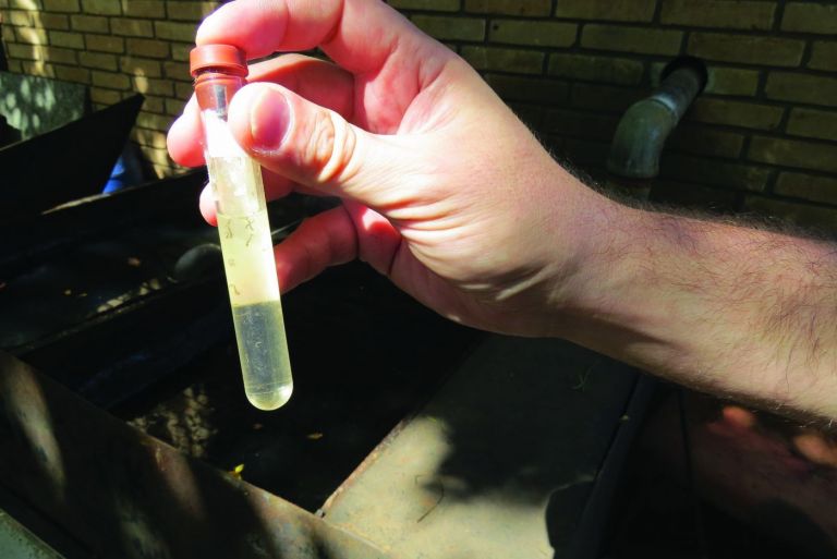 Mortes por dengue no Paraná chegam a 18 no período epidemiológico, diz Sesa