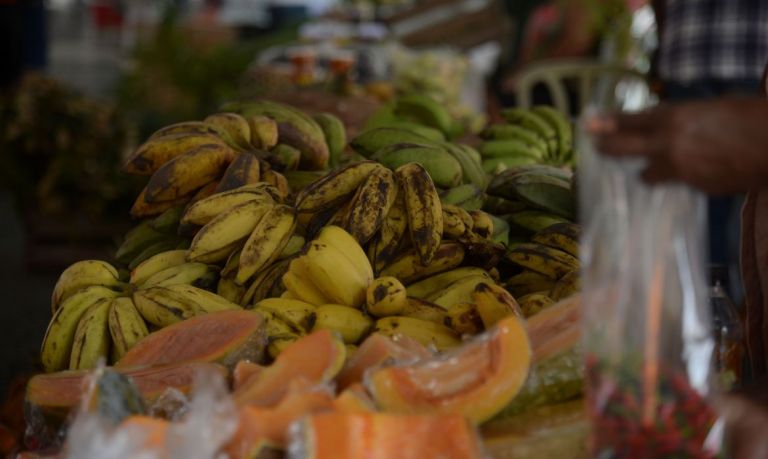 Saúde lança guia alimentar de bolso para menores de 2 anos