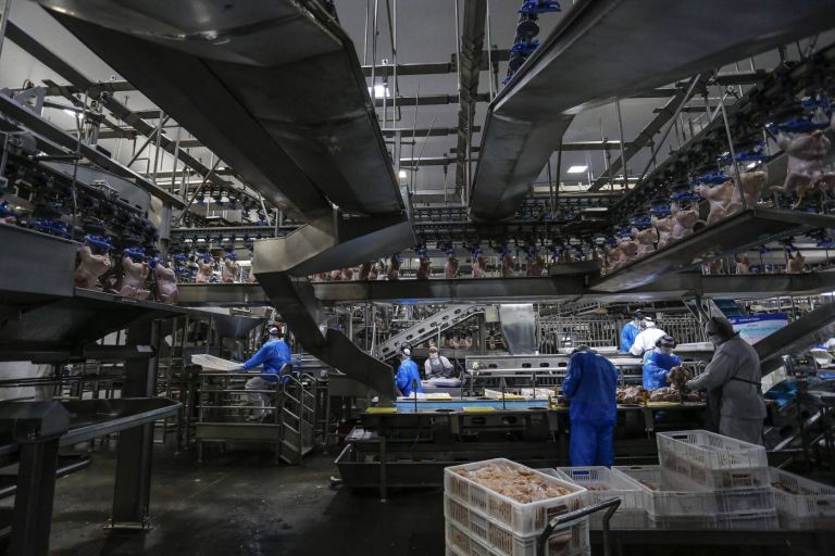 Paraná produz um terço da carne de frango do Brasil