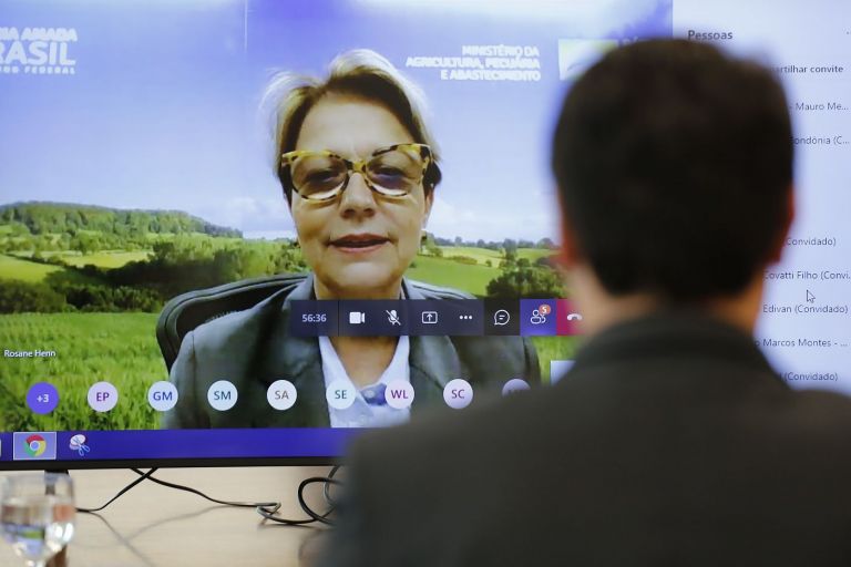 Estado conquista chancela técnica como zona livre de peste suína clássica