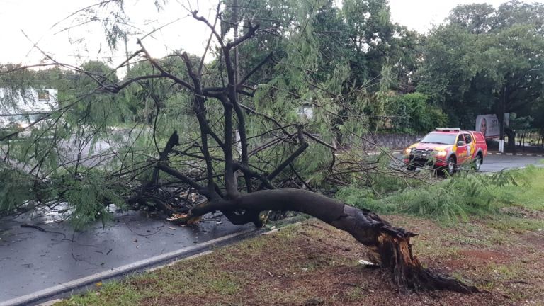 Temporal deixou 32 mil unidades sem energia em Foz e Santa Terezinha
