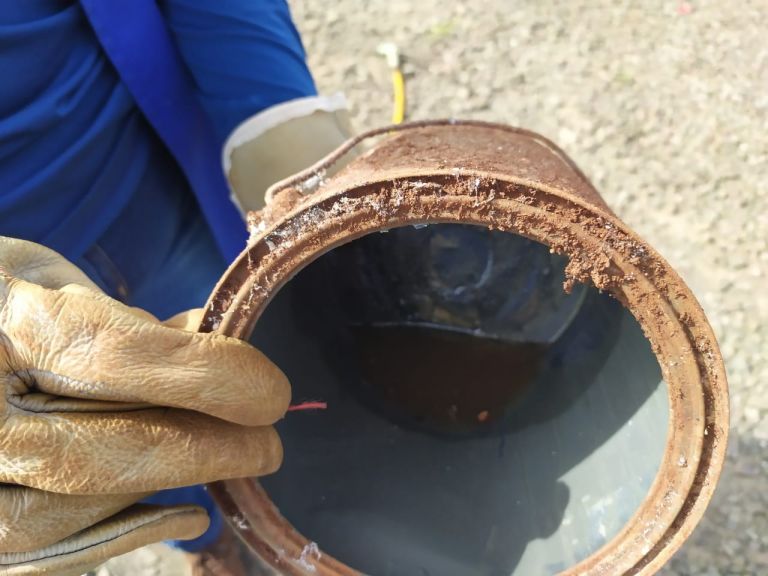 Quatro Pontes confirma dois casos de dengue