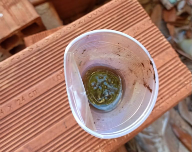 Arrastão contra a dengue será realizado neste sábado na Vila Gaúcha