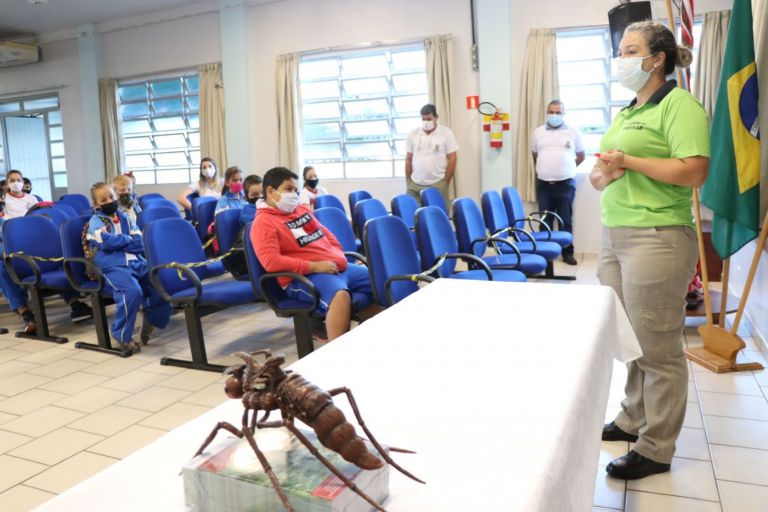 Novas ações buscam o recuo da dengue em Pato Bragado