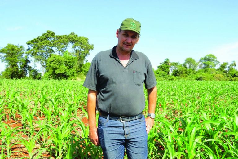 Estiagem traz apreensão aos produtores de milho safrinha da região