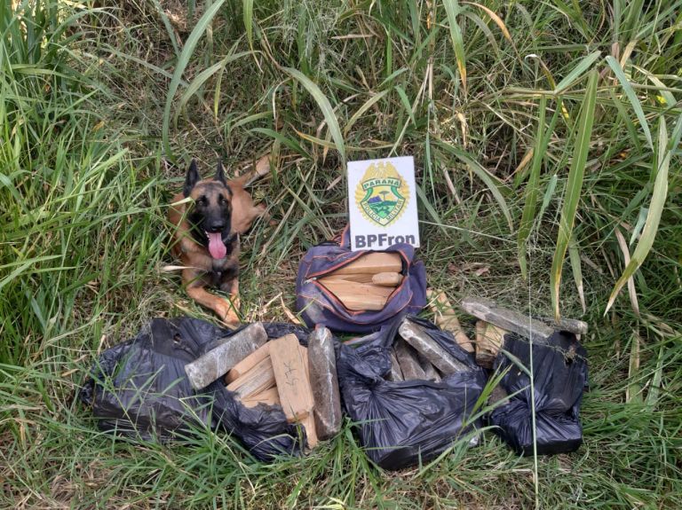 BPFron apreende drogas em Toledo durante Operação Hórus