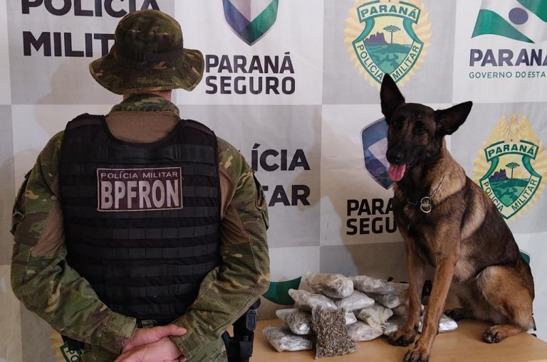 BPFron cumpre mandado de prisão pelo crime de roubo em Guaíra