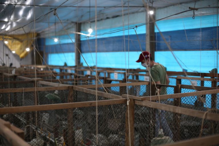 Estações experimentais da Unioeste permitem a prática do agronegócio