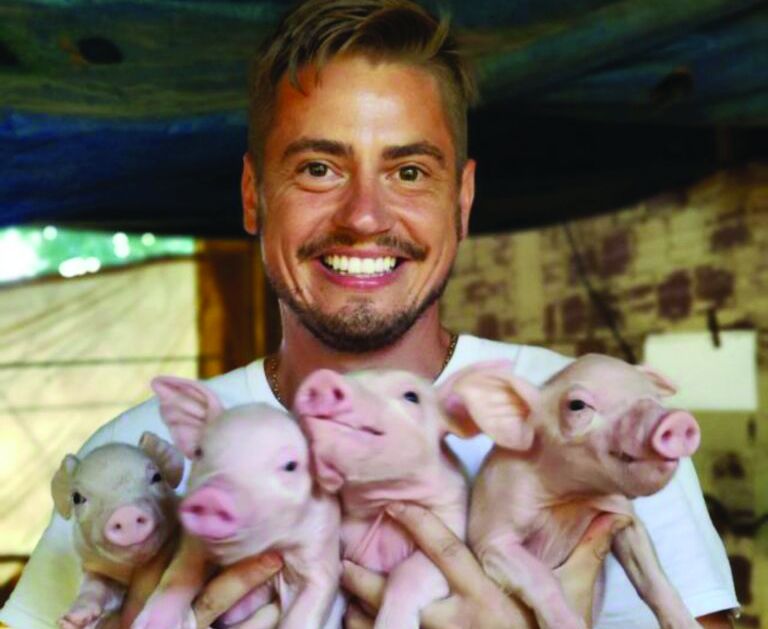 Coopavel expande área de suínos e abre vagas para novos integrados