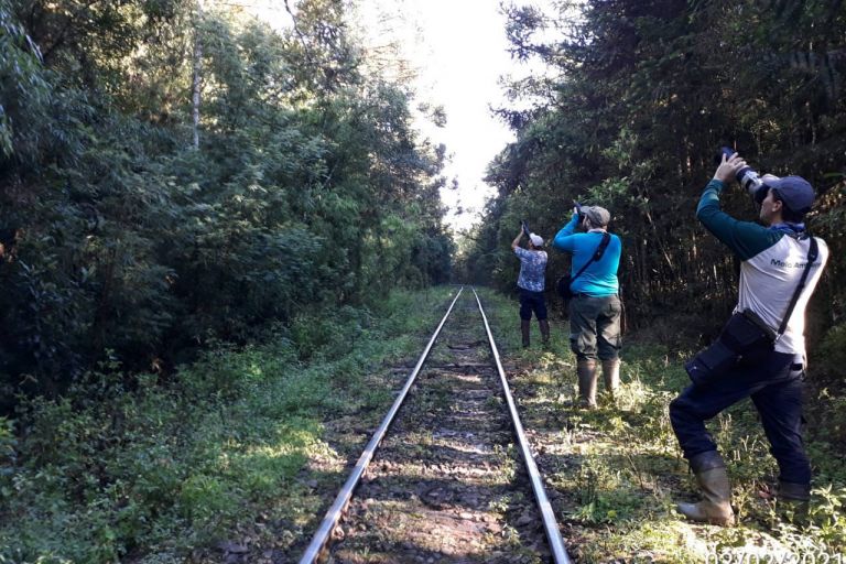 Ibama inicia nova fase dos estudos de impacto ambiental da Nova Ferroeste
