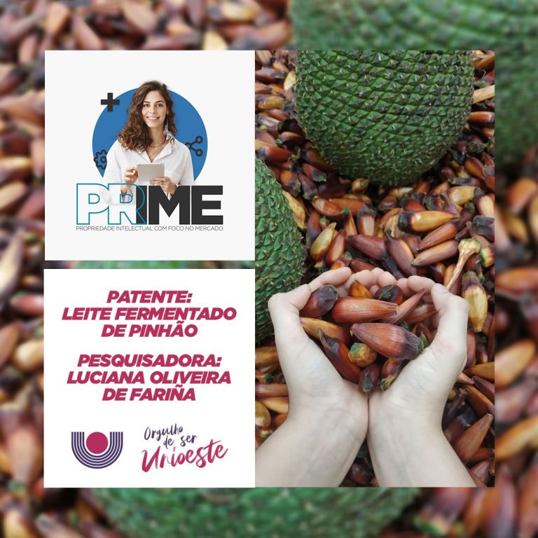 Leite fermentado de pinhão é uma das patentes desenvolvidas pela Unioeste