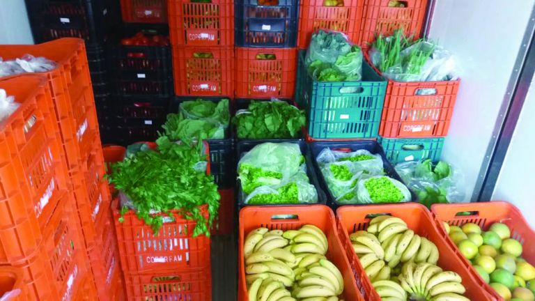 Cooperativas abrem mercados para a agricultura familiar na região