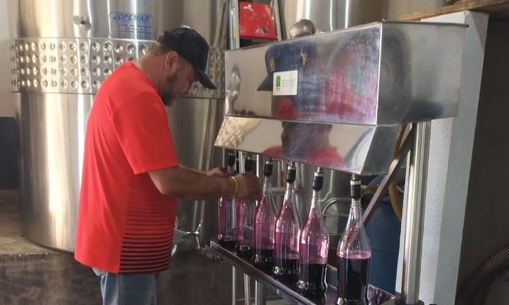 Quatro-pontense transforma paixão familiar em negócio e se prepara para lançar marca de vinhos