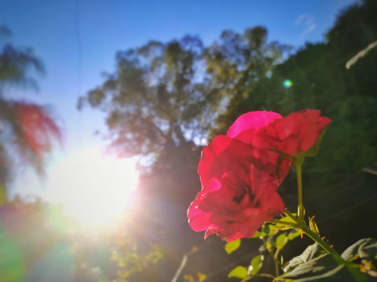 Marechal Rondon tem terça-feira ensolarada; veja a máxima prevista para o dia