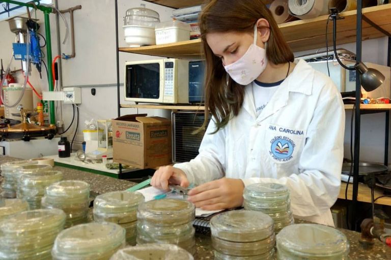 Estudante da região ganha prêmio em Feira Internacional de Ciências por redução de fungos em bananeiras