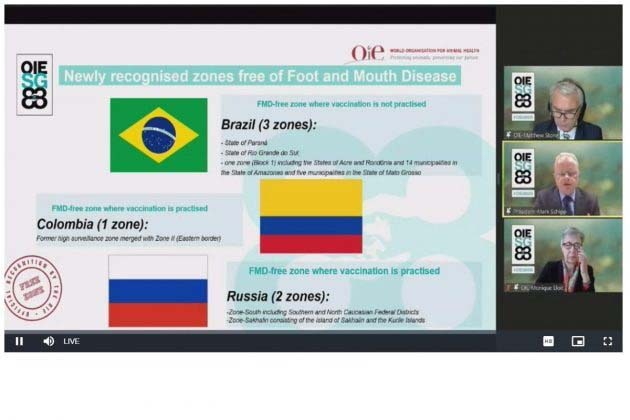 Paraná conquista status internacional de área livre de febre aftosa sem vacinação