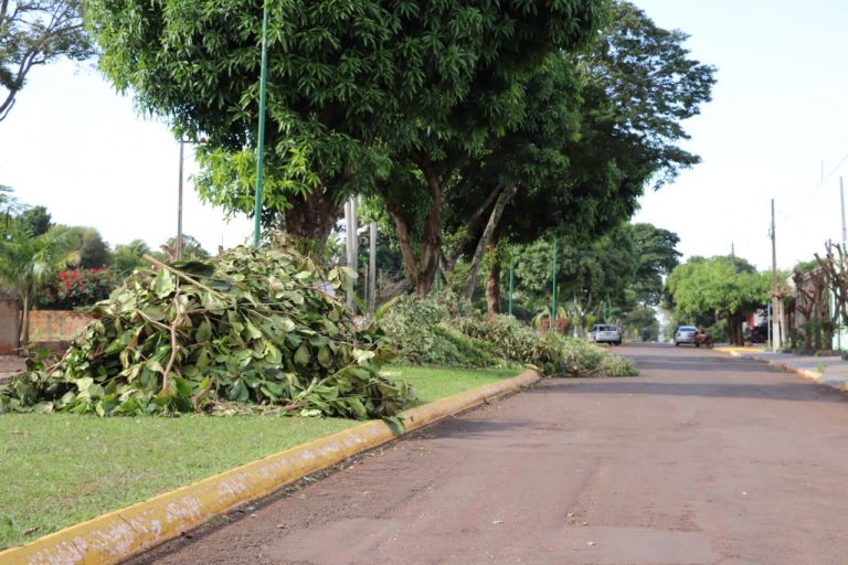 Porto Mendes terá arrastão contra a dengue nesta sexta-feira
