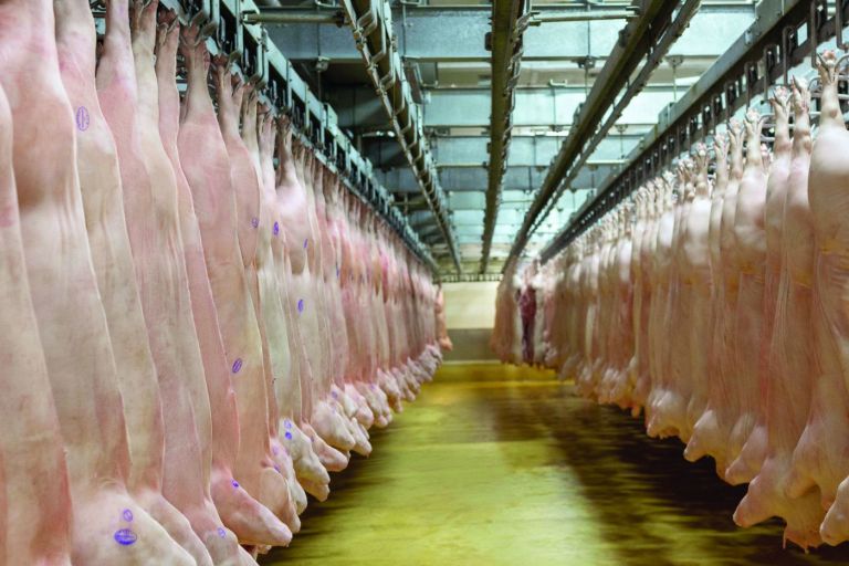 Incertezas rondam mercado de carnes
