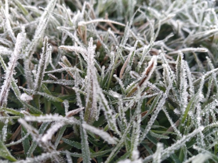 Mercedes amanhece com geada e termômetros no interior registram -5ºC