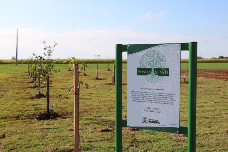Famílias fazem primeiro plantio de árvores no Bosque da Vida