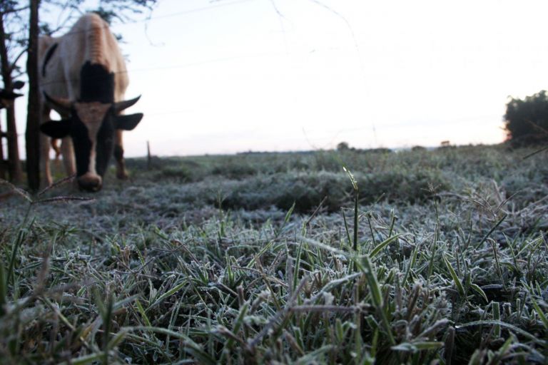 Frio intenso dá trégua, mas é por pouco tempo; há previsão de geada e mínima de 1ºC para Marechal Rondon na semana que vem