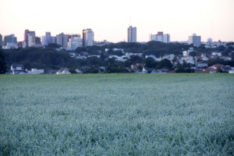 Onda de frio derrubará temperatura em vários estados com geada e neve