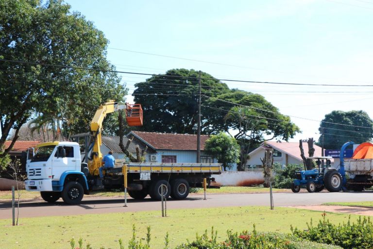 Poda de manutenção contempla 20% da arborização urbana de Maripá
